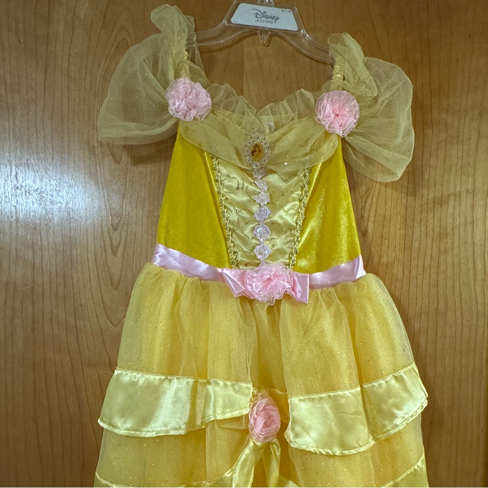 Disney Bella Princess Costume